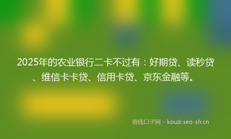 2025年的农业银行二卡不过有：好期贷、读秒贷、维信卡卡贷、信用卡贷、京东金融等。