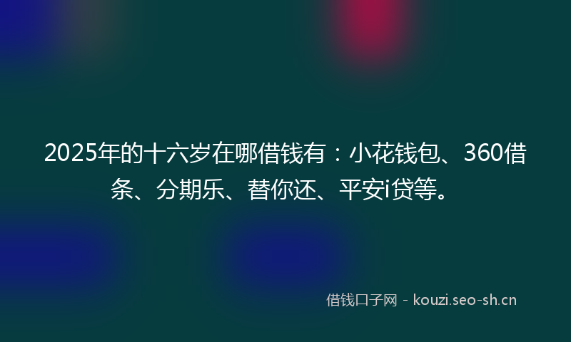 2025年的十六岁在哪借钱有:小花钱包、360借条、分期乐、替你还、平安i贷等。