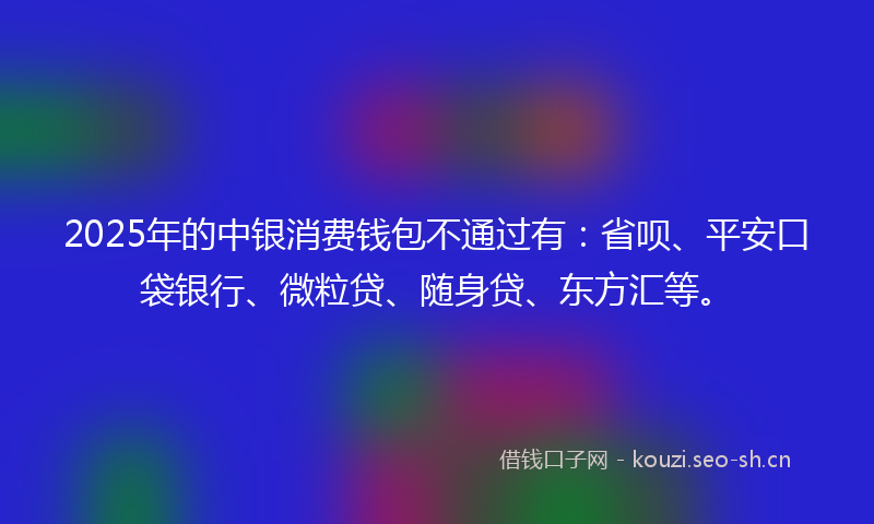 2025年的中银消费钱包不通过有：省呗、平安口袋银行、微粒贷、随身贷、东方汇等。