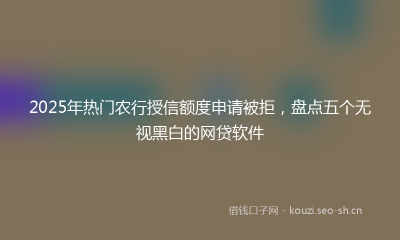 2025年热门农行授信额度申请被拒，盘点五个无视黑白的网贷软件