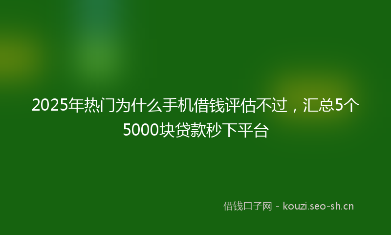 2025年热门为什么手机借钱评估不过，汇总5个5000块贷款秒下平台