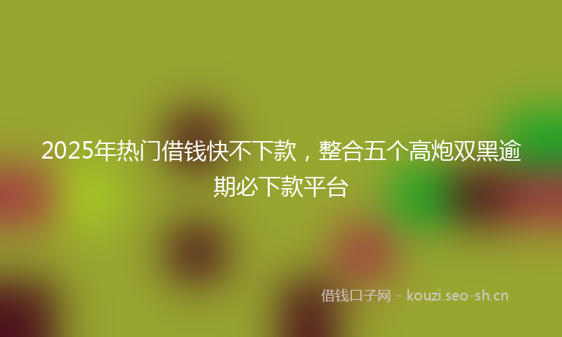 2025年热门借钱快不下款，整合五个高炮双黑逾期必下款平台