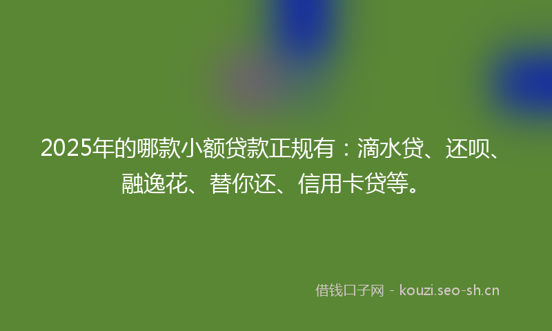 2025年的哪款小额贷款正规有：滴水贷、还呗、融逸花、替你还、信用卡贷等。
