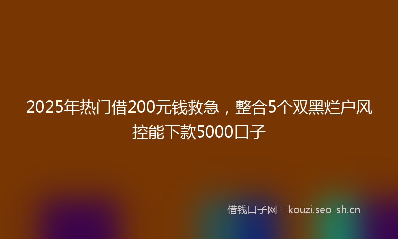2025年热门借200元钱救急，整合5个双黑烂户风控能下款5000口子