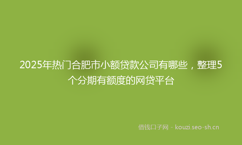 2025年热门合肥市小额贷款公司有哪些，整理5个分期有额度的网贷平台