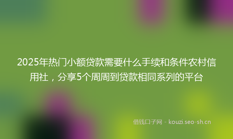 2025年热门小额贷款需要什么手续和条件农村信用社，分享5个周周到贷款相同系列的平台