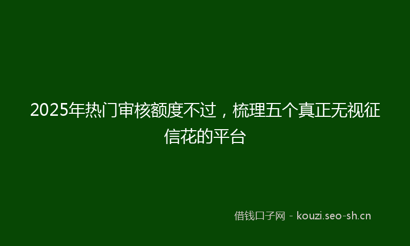 2025年热门审核额度不过，梳理五个真正无视征信花的平台