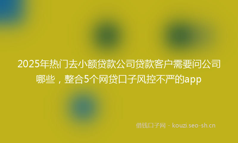 2025年热门去小额贷款公司贷款客户需要问公司哪些，整合5个网贷口子风控不严的app