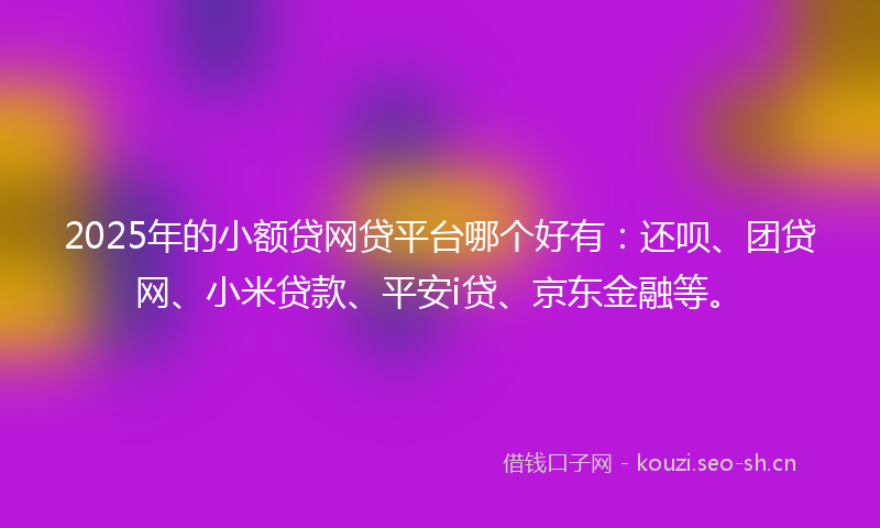 2025年的小额贷网贷平台哪个好有：还呗、团贷网、小米贷款、平安i贷、京东金融等。