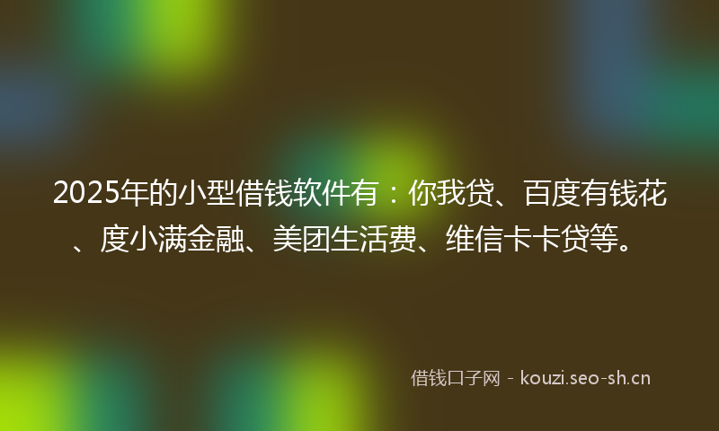 2025年的小型借钱软件有：你我贷、百度有钱花、度小满金融、美团生活费、维信卡卡贷等。