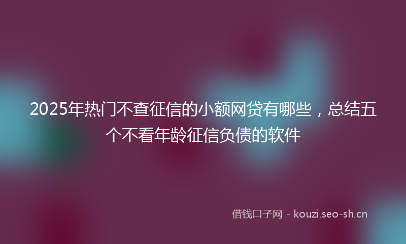 2025年热门不查征信的小额网贷有哪些，总结五个不看年龄征信负债的软件