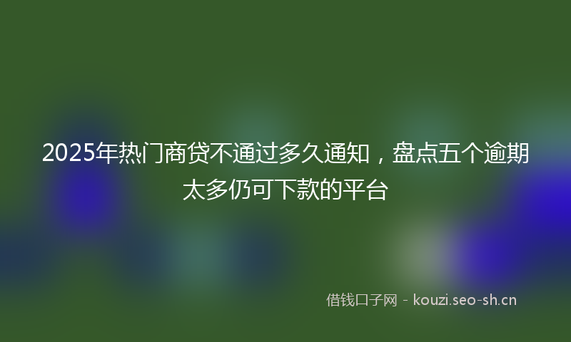 2025年热门商贷不通过多久通知，盘点五个逾期太多仍可下款的平台