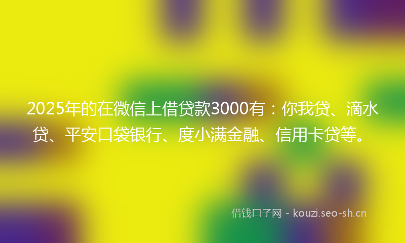 2025年的在微信上借贷款3000有：你我贷、滴水贷、平安口袋银行、度小满金融、信用卡贷等。
