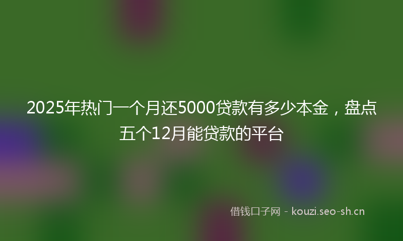 2025年热门一个月还5000贷款有多少本金，盘点五个12月能贷款的平台