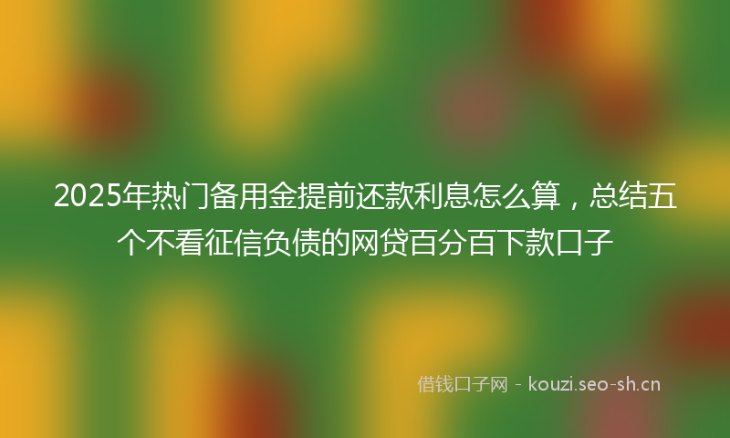 2025年热门备用金提前还款利息怎么算，总结五个不看征信负债的网贷百分百下款口子