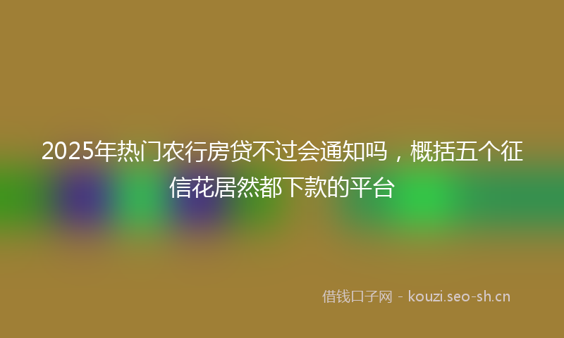 2025年热门农行房贷不过会通知吗，概括五个征信花居然都下款的平台