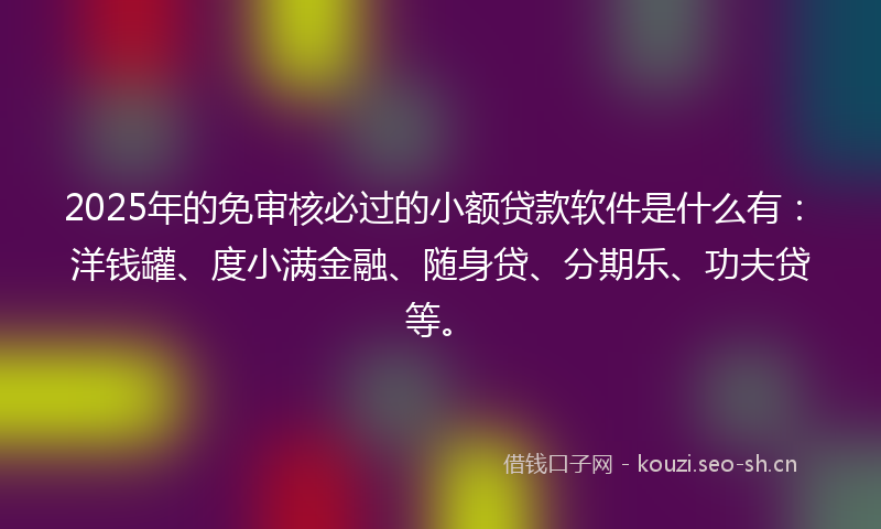 2025年的免审核必过的小额贷款软件是什么有：洋钱罐、度小满金融、随身贷、分期乐、功夫贷等。