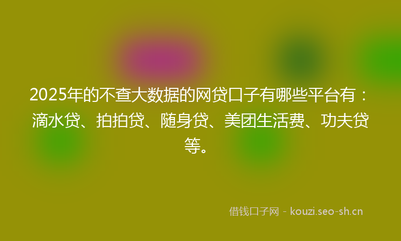 2025年的不查大数据的网贷口子有哪些平台有：滴水贷、拍拍贷、随身贷、美团生活费、功夫贷等。