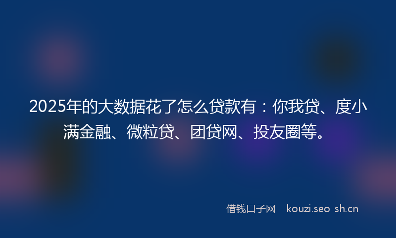 2025年的大数据花了怎么贷款有：你我贷、度小满金融、微粒贷、团贷网、投友圈等。