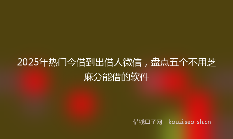 2025年热门今借到出借人微信，盘点五个不用芝麻分能借的软件