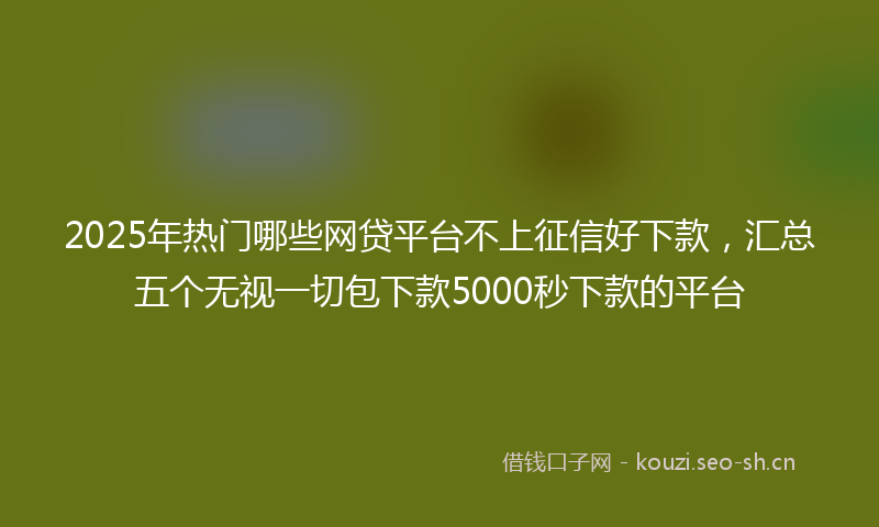 2025年热门哪些网贷平台不上征信好下款，汇总五个无视一切包下款5000秒下款的平台