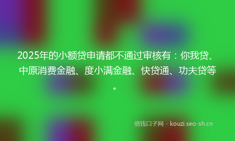 2025年的小额贷申请都不通过审核有：你我贷、中原消费金融、度小满金融、快贷通、功夫贷等。