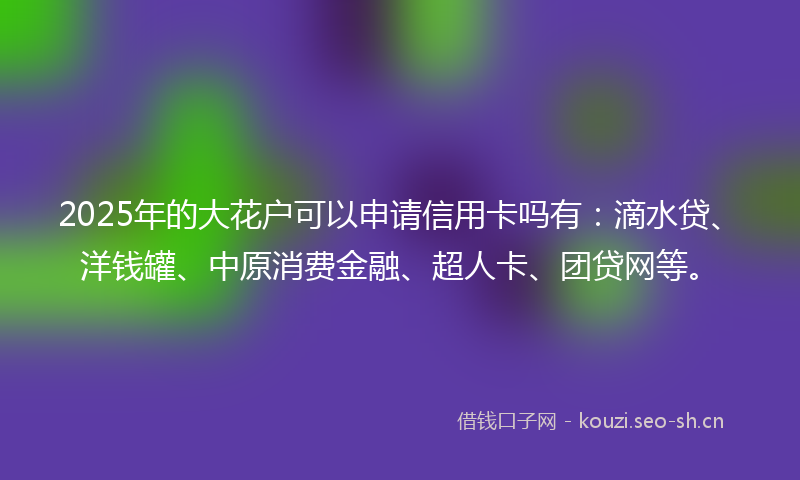 2025年的大花户可以申请信用卡吗有：滴水贷、洋钱罐、中原消费金融、超人卡、团贷网等。