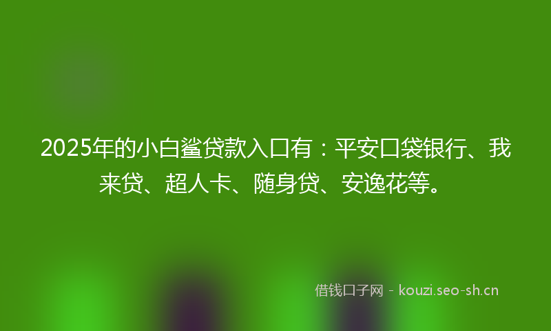 2025年的小白鲨贷款入口有：平安口袋银行、我来贷、超人卡、随身贷、安逸花等。