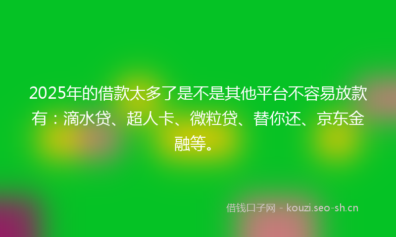 2025年的借款太多了是不是其他平台不容易放款有：滴水贷、超人卡、微粒贷、替你还、京东金融等。