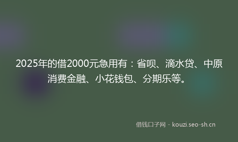2025年的借2000元急用有：省呗、滴水贷、中原消费金融、小花钱包、分期乐等。