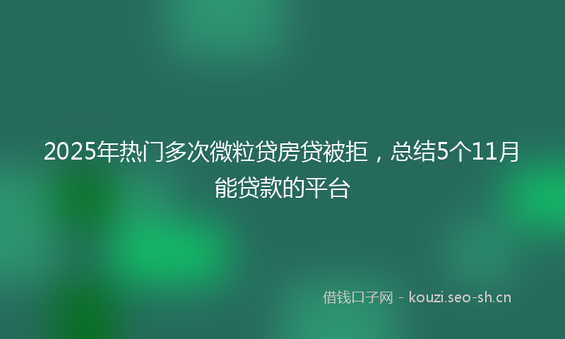 2025年热门多次微粒贷房贷被拒，总结5个11月能贷款的平台
