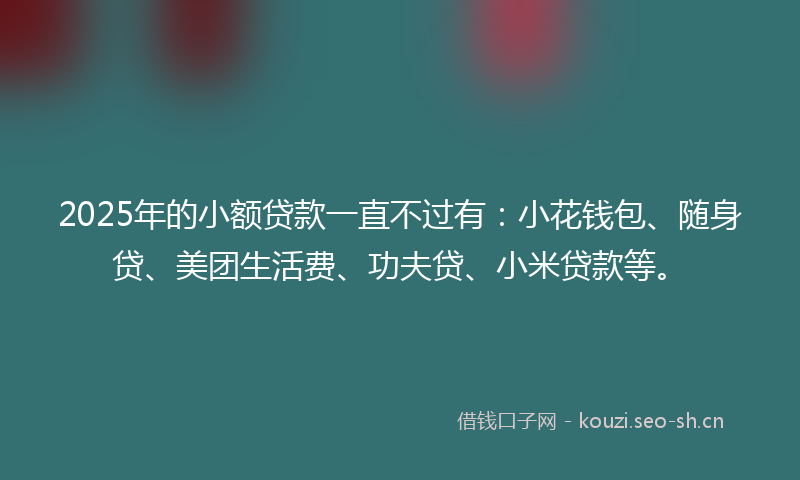 2025年的小额贷款一直不过有:小花钱包、随身贷、美团生活费、功夫贷、小米贷款等。