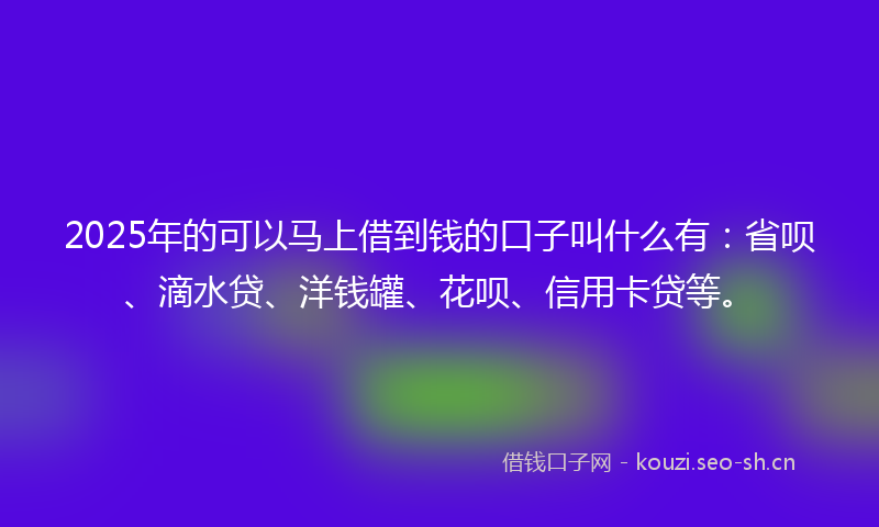 2025年的可以马上借到钱的口子叫什么有：省呗、滴水贷、洋钱罐、花呗、信用卡贷等。
