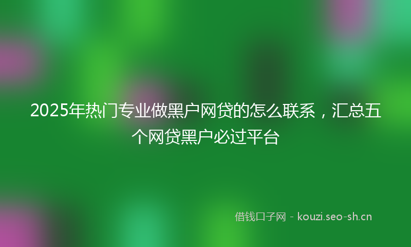 2025年热门专业做黑户网贷的怎么联系，汇总五个网贷黑户必过平台