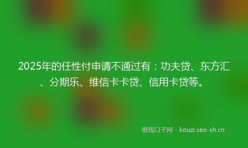 2025年的任性付申请不通过有：功夫贷、东方汇、分期乐、维信卡卡贷、信用卡贷等。