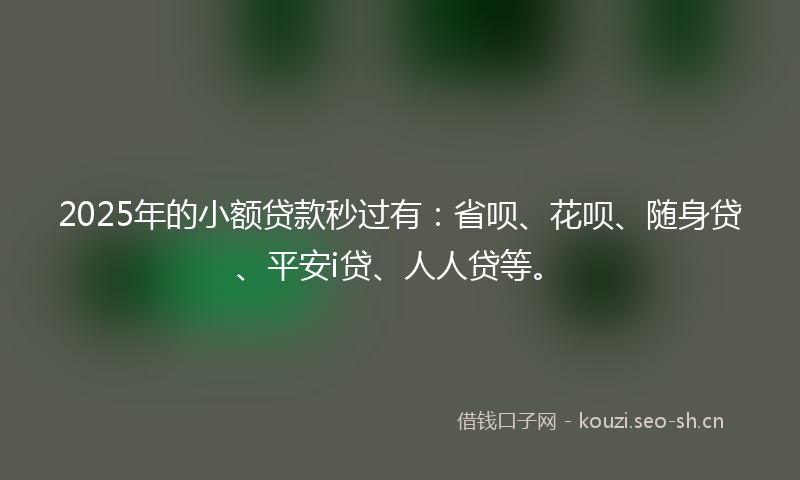 2025年的小额贷款秒过有：省呗、花呗、随身贷、平安i贷、人人贷等。