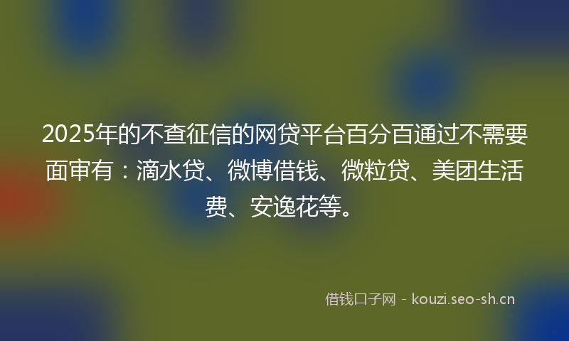 2025年的不查征信的网贷平台百分百通过不需要面审有：滴水贷、微博借钱、微粒贷、美团生活费、安逸花等。