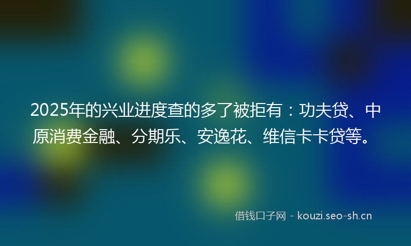 2025年的兴业进度查的多了被拒有：功夫贷、中原消费金融、分期乐、安逸花、维信卡卡贷等。