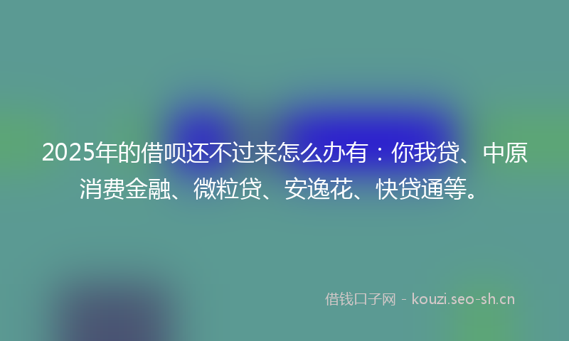 2025年的借呗还不过来怎么办有：你我贷、中原消费金融、微粒贷、安逸花、快贷通等。