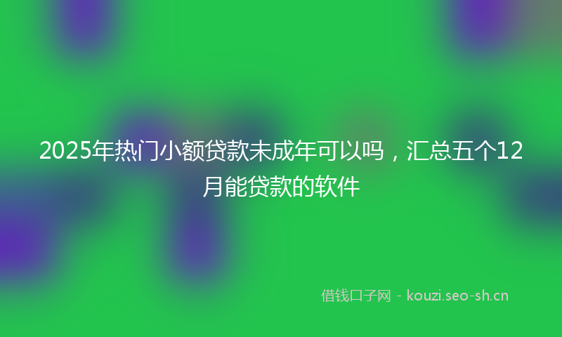 2025年热门小额贷款未成年可以吗，汇总五个12月能贷款的软件