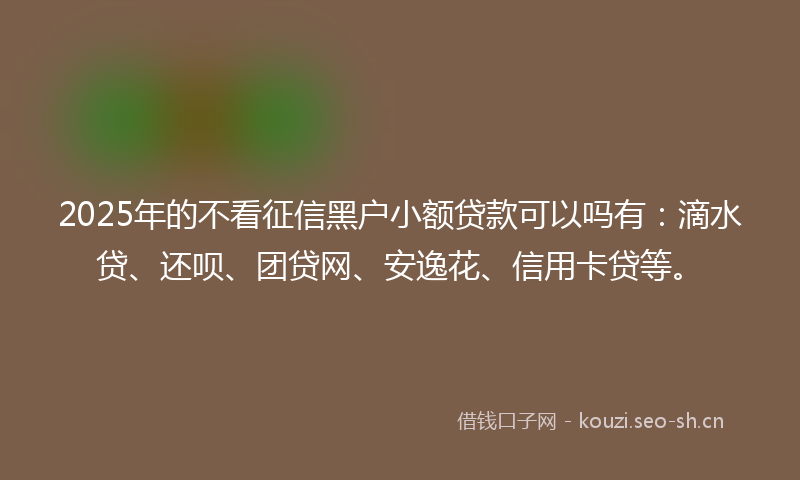 2025年的不看征信黑户小额贷款可以吗有：滴水贷、还呗、团贷网、安逸花、信用卡贷等。