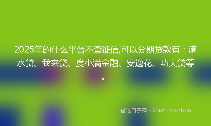 2025年的什么平台不查征信,可以分期贷款有：滴水贷、我来贷、度小满金融、安逸花、功夫贷等。