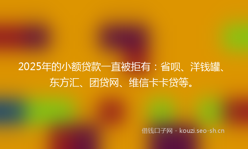2025年的小额贷款一直被拒有：省呗、洋钱罐、东方汇、团贷网、维信卡卡贷等。