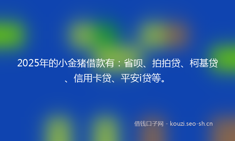 2025年的小金猪借款有：省呗、拍拍贷、柯基贷、信用卡贷、平安i贷等。