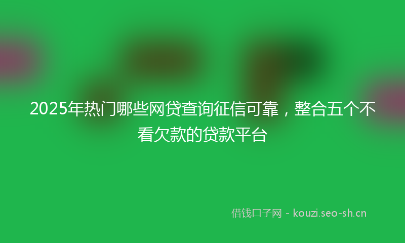 2025年热门哪些网贷查询征信可靠，整合五个不看欠款的贷款平台