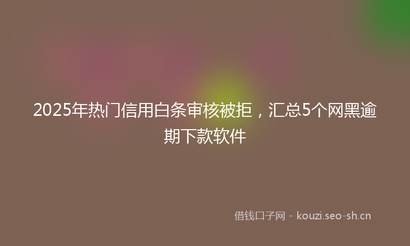2025年热门信用白条审核被拒，汇总5个网黑逾期下款软件