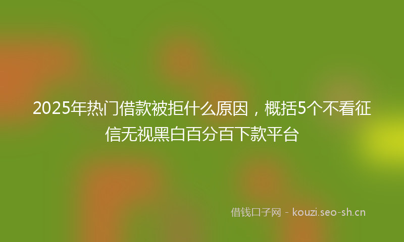 2025年热门借款被拒什么原因，概括5个不看征信无视黑白百分百下款平台