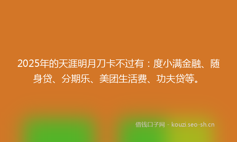 2025年的天涯明月刀卡不过有：度小满金融、随身贷、分期乐、美团生活费、功夫贷等。