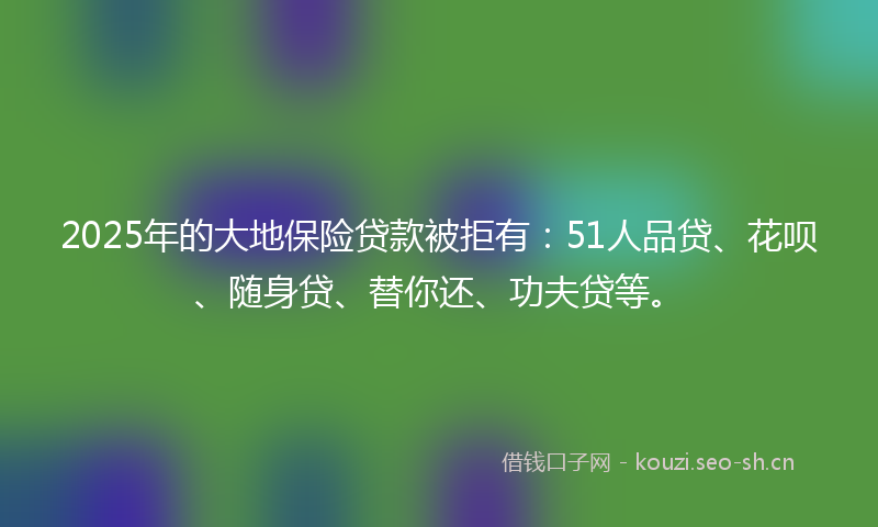 2025年的大地保险贷款被拒有：51人品贷、花呗、随身贷、替你还、功夫贷等。