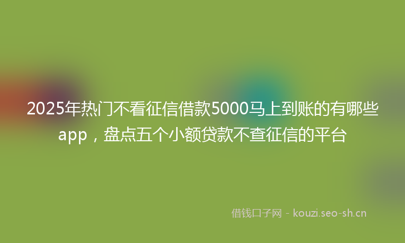 2025年热门不看征信借款5000马上到账的有哪些app，盘点五个小额贷款不查征信的平台